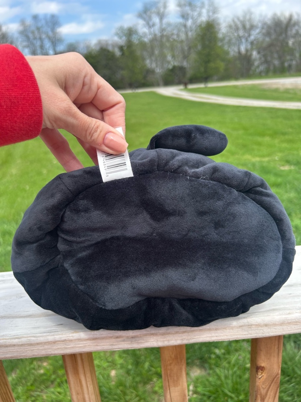 Squishmallows Original Stump the Skeleton Cat-Soft Plush Candy Bucket- Bag Flaw - Picture 10 of 14